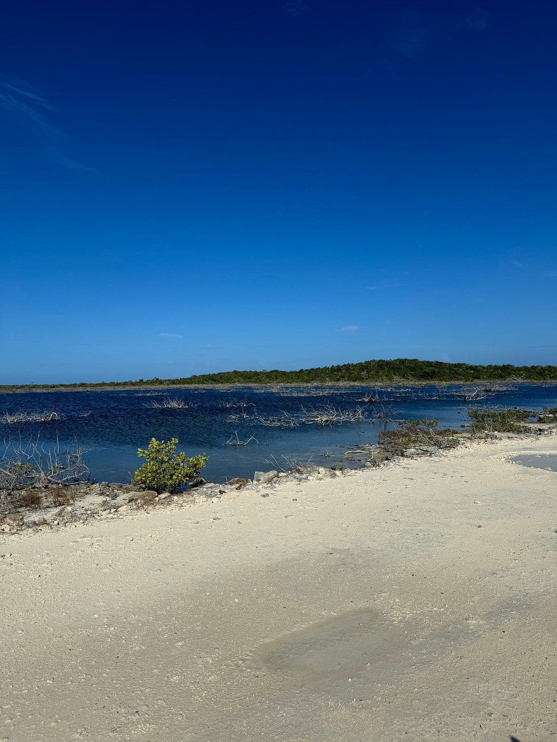 ATV tour Turks and Caicos