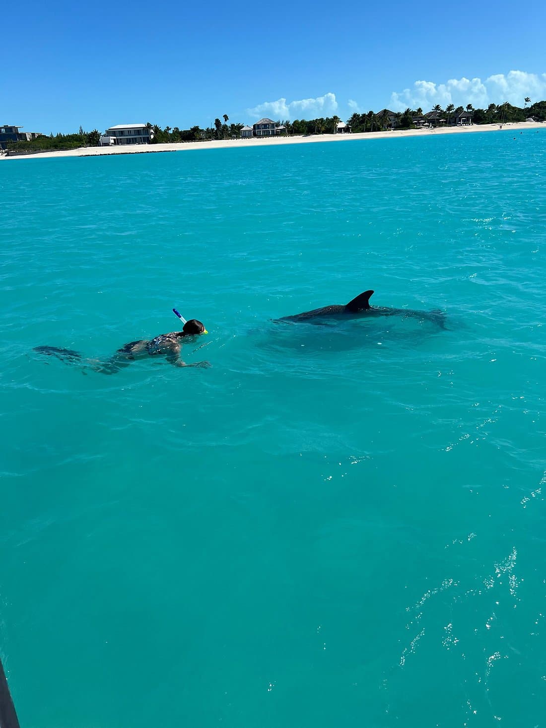 caption (13)