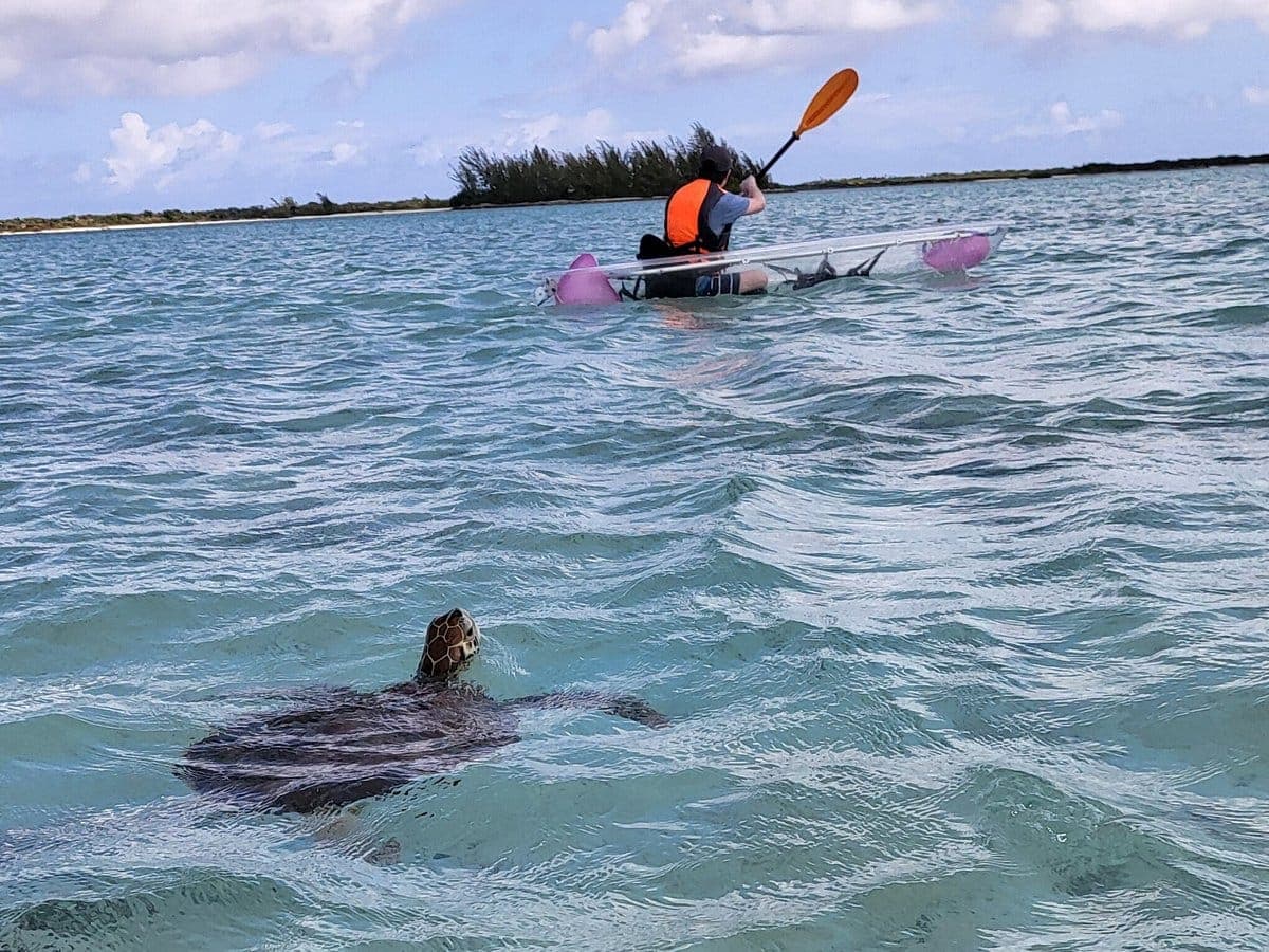 clear kayak tour 5
