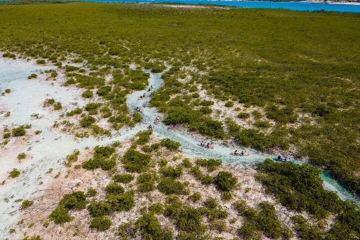 Clear kayak tour Turks and Caicos