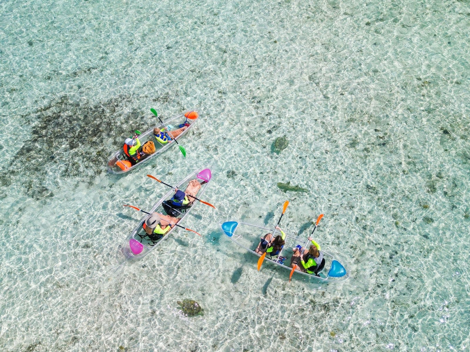 Clear kayak tour Turks and Caicos