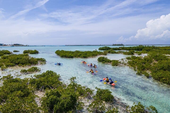 Clear kayak tour Turks and Caicos