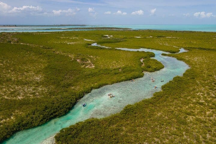 Clear kayak tour Turks and Caicos