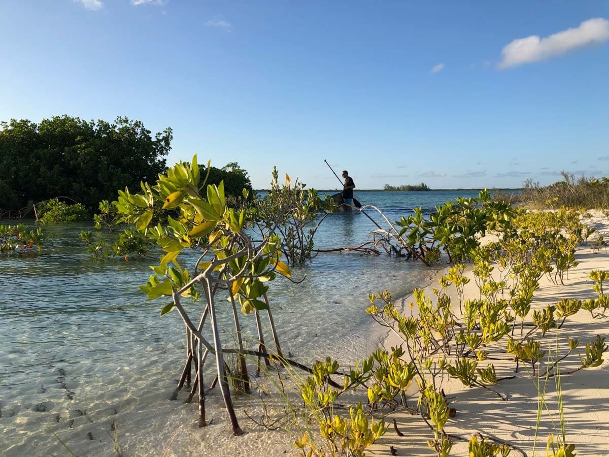 Clear kayak tour Turks and Caicos