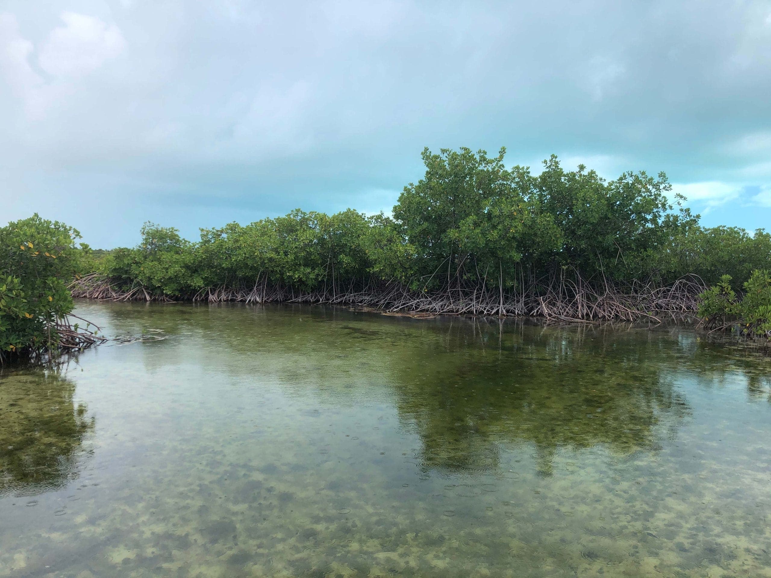 Clear kayak tour Turks and Caicos