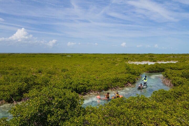 Clear kayak tour Turks and Caicos