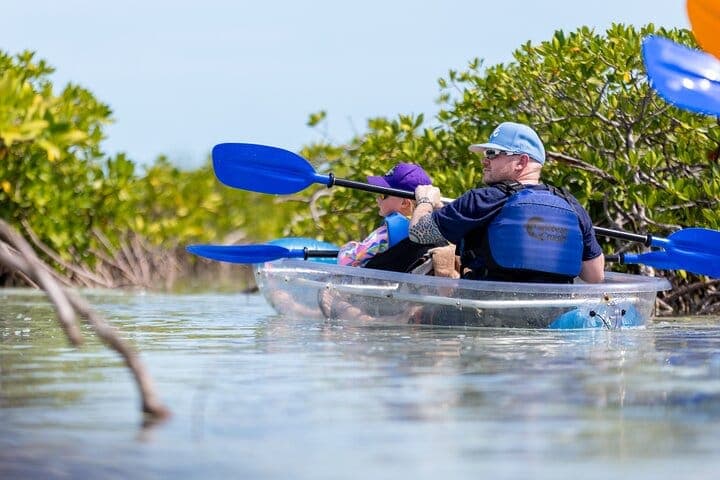 Clear kayak tour Turks and Caicos
