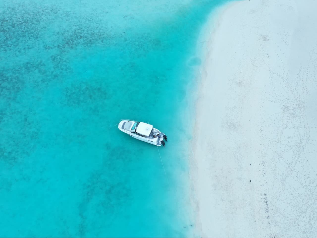 half day charter