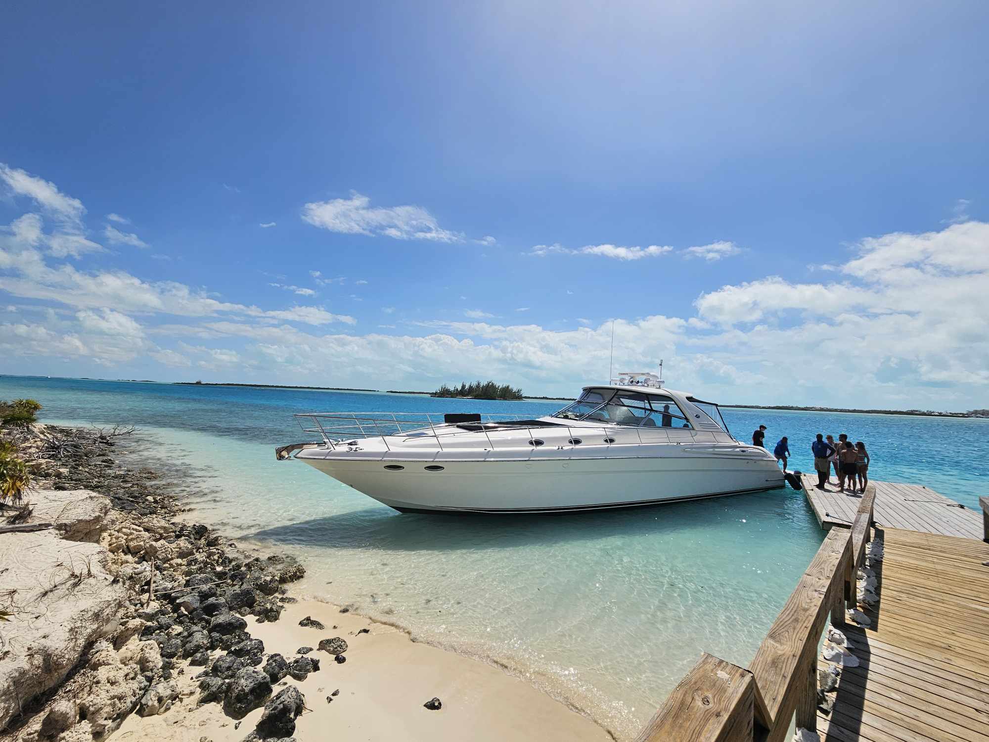iguana island