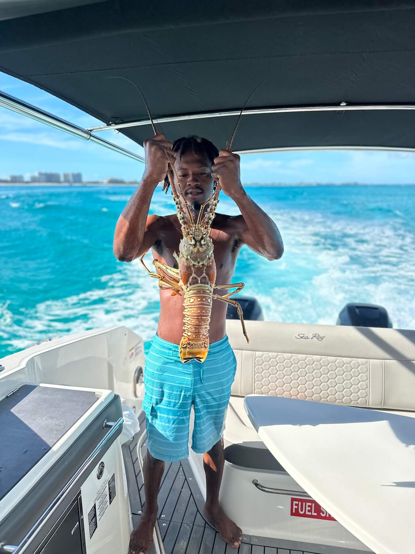 lobster