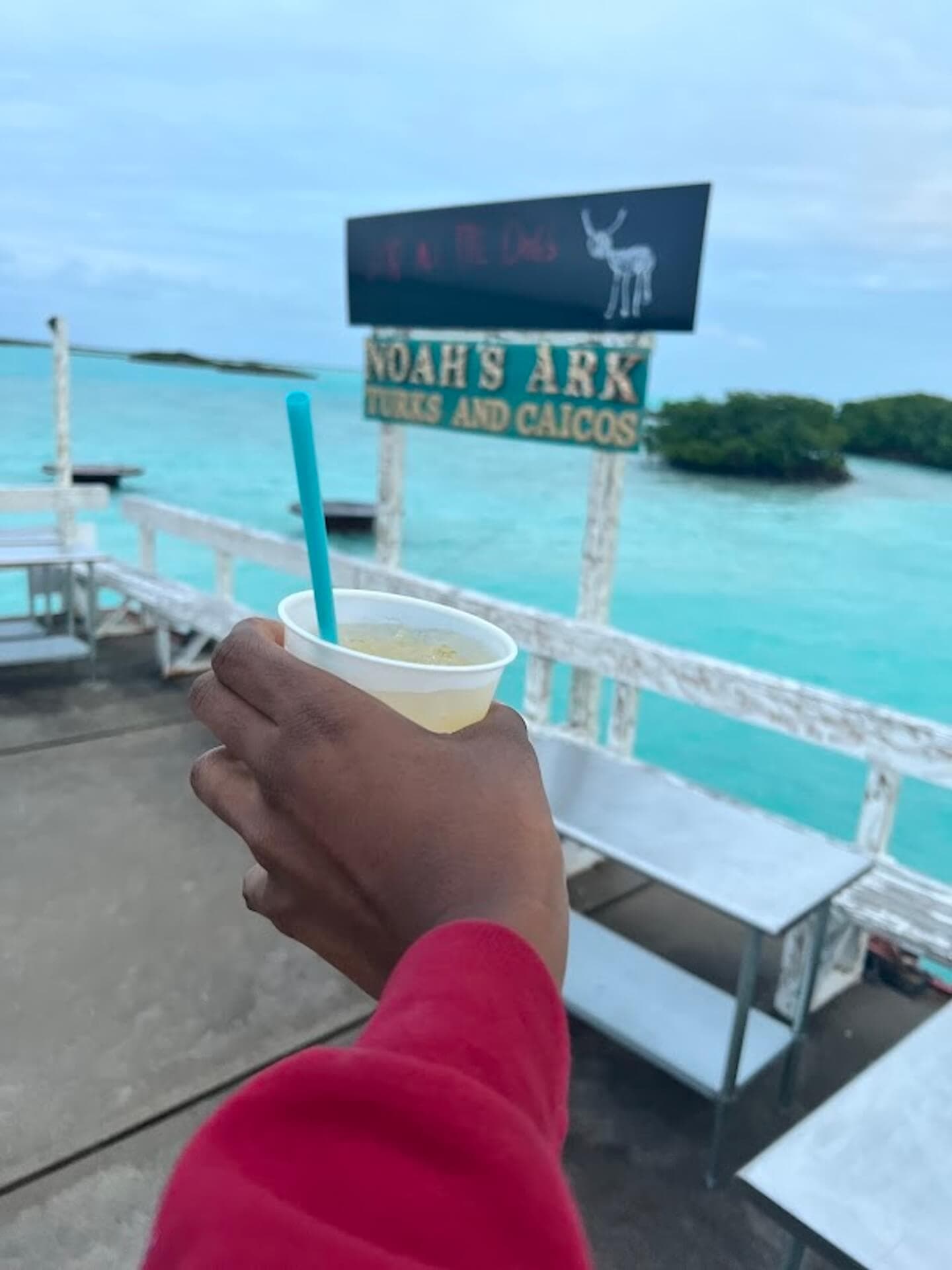 noahs ark drink