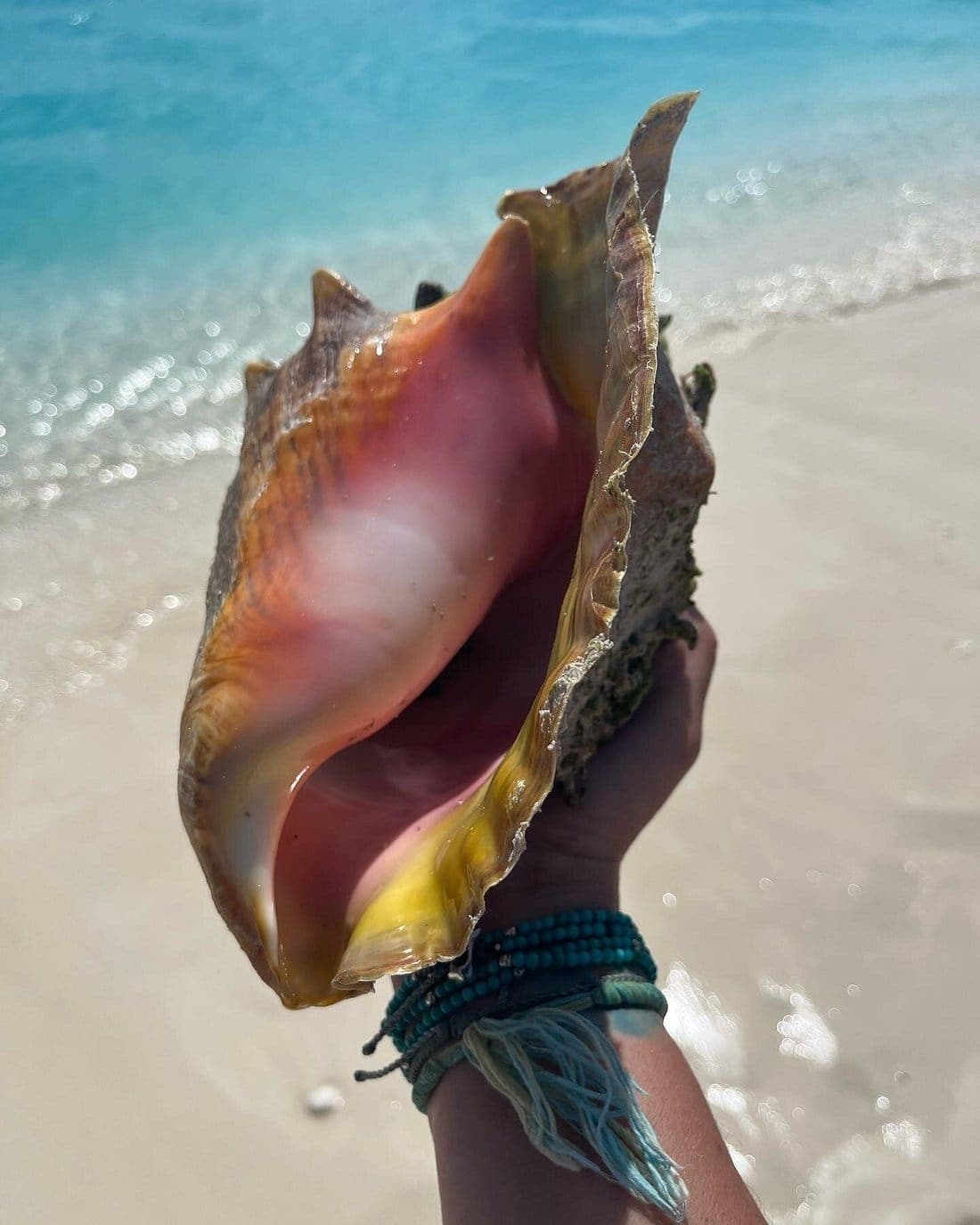 Seaside scavenger quest Turks and Caicos