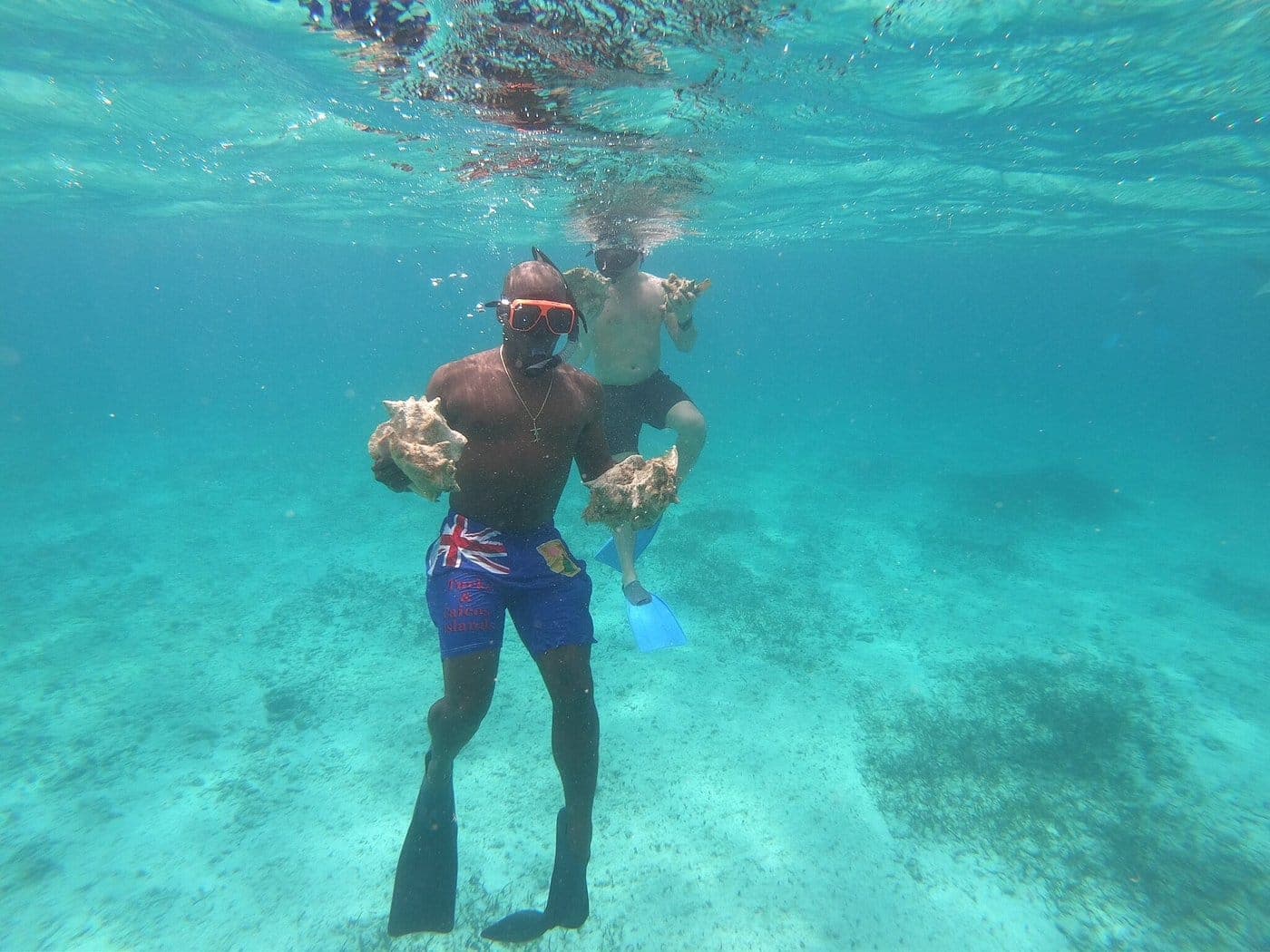 Seaside scavenger quest Turks and Caicos