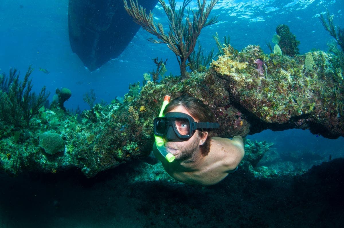 snorkel shipwreck iguana 1