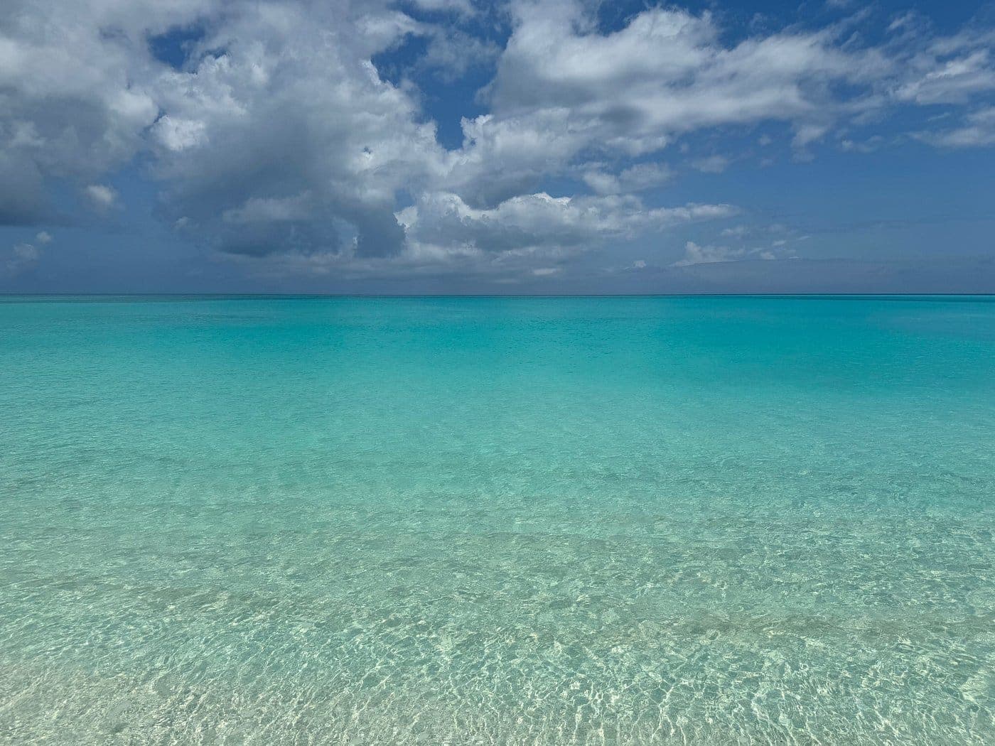 Snorkel shipwreck and iguana tour Turks and Caicos