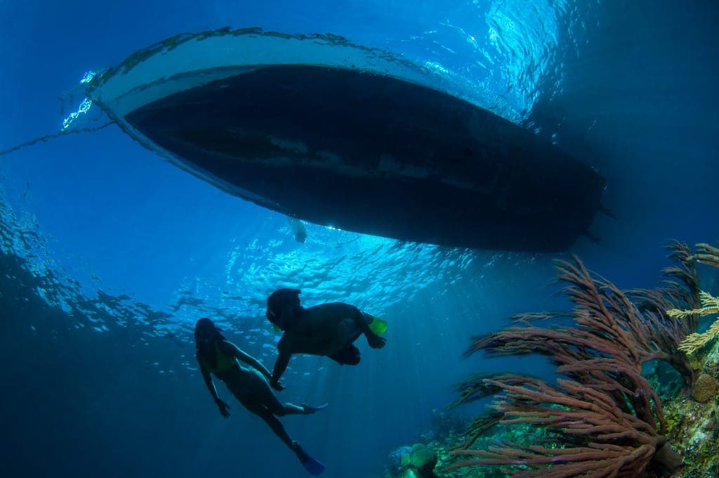 Snorkel shipwreck and iguana tour Turks and Caicos