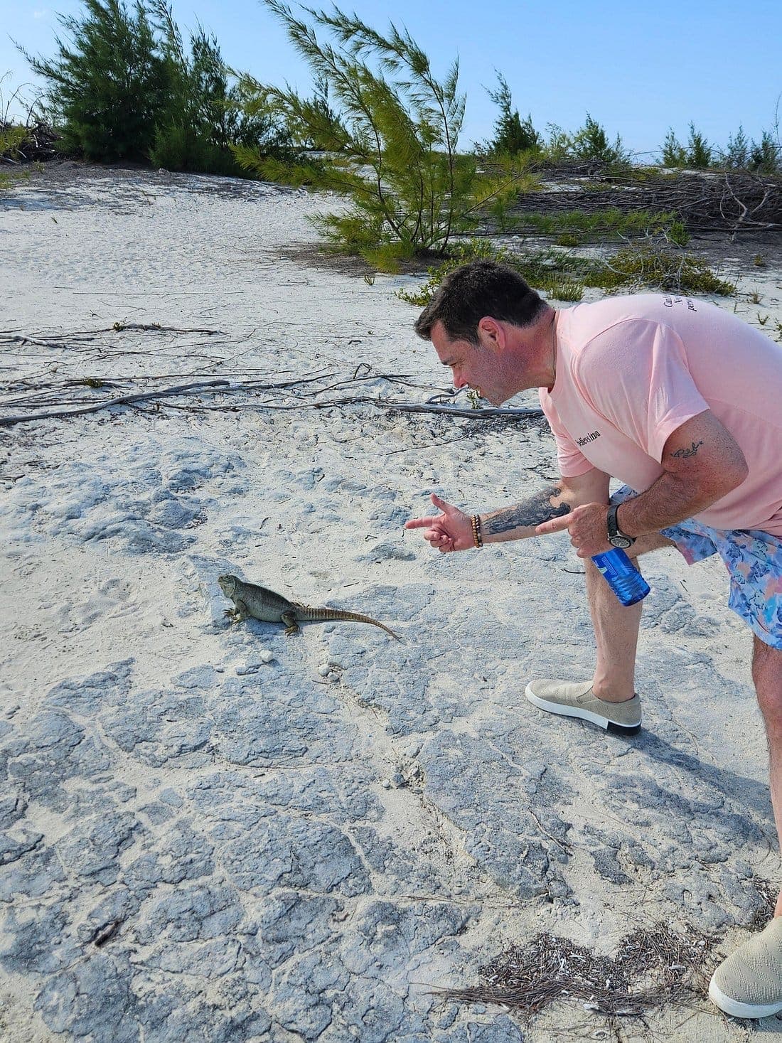 Snorkel shipwreck and iguana tour Turks and Caicos