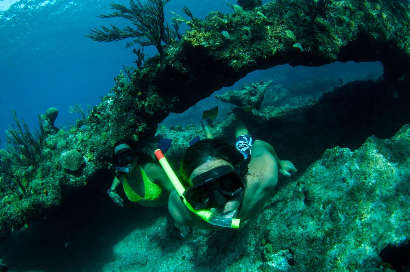Snorkel shipwreck and iguana tour Turks and Caicos
