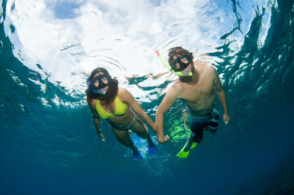 Snorkel shipwreck and iguana tour Turks and Caicos