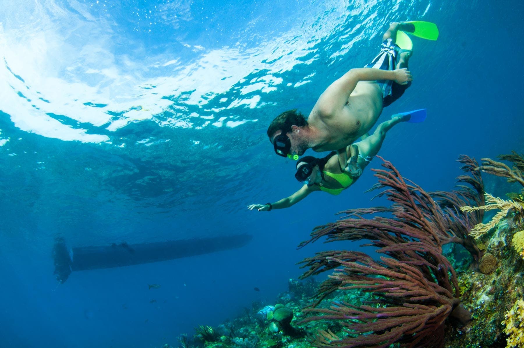 Snorkel shipwreck and iguana tour Turks and Caicos