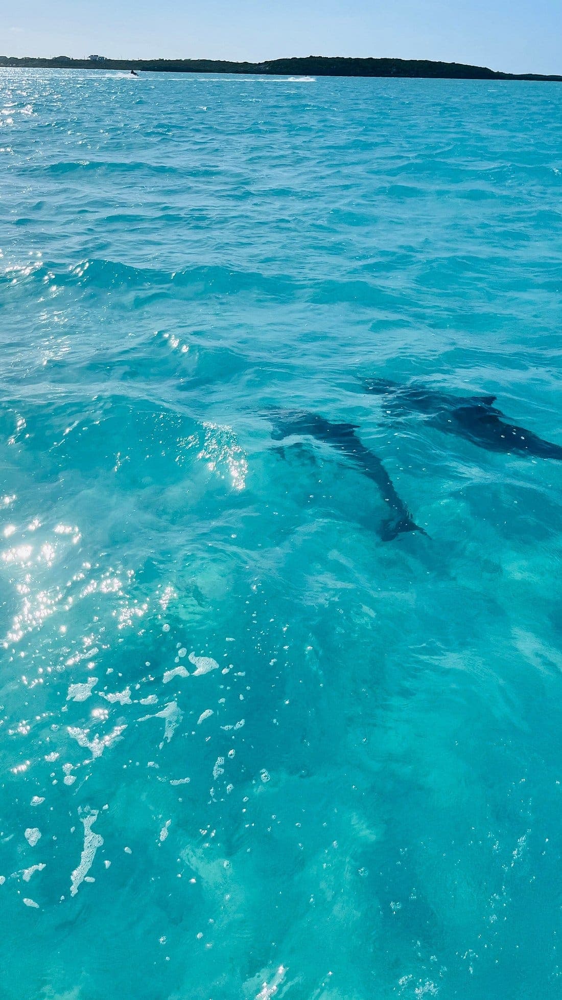 Snuba shipwreck and iguana tour Turks and Caicos