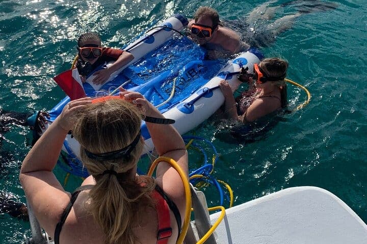 Snuba shipwreck and iguana tour Turks and Caicos