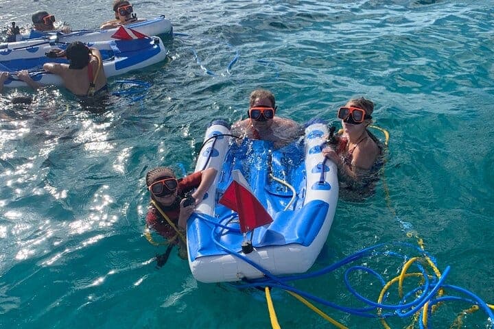 Snuba shipwreck and iguana tour Turks and Caicos