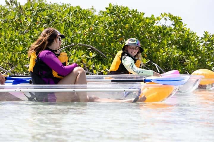 clear kayak mangrove hero