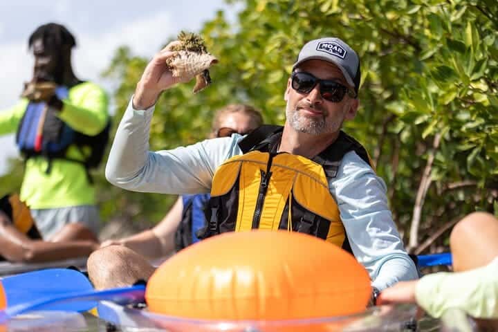 clear kayak mangrove iguana hero