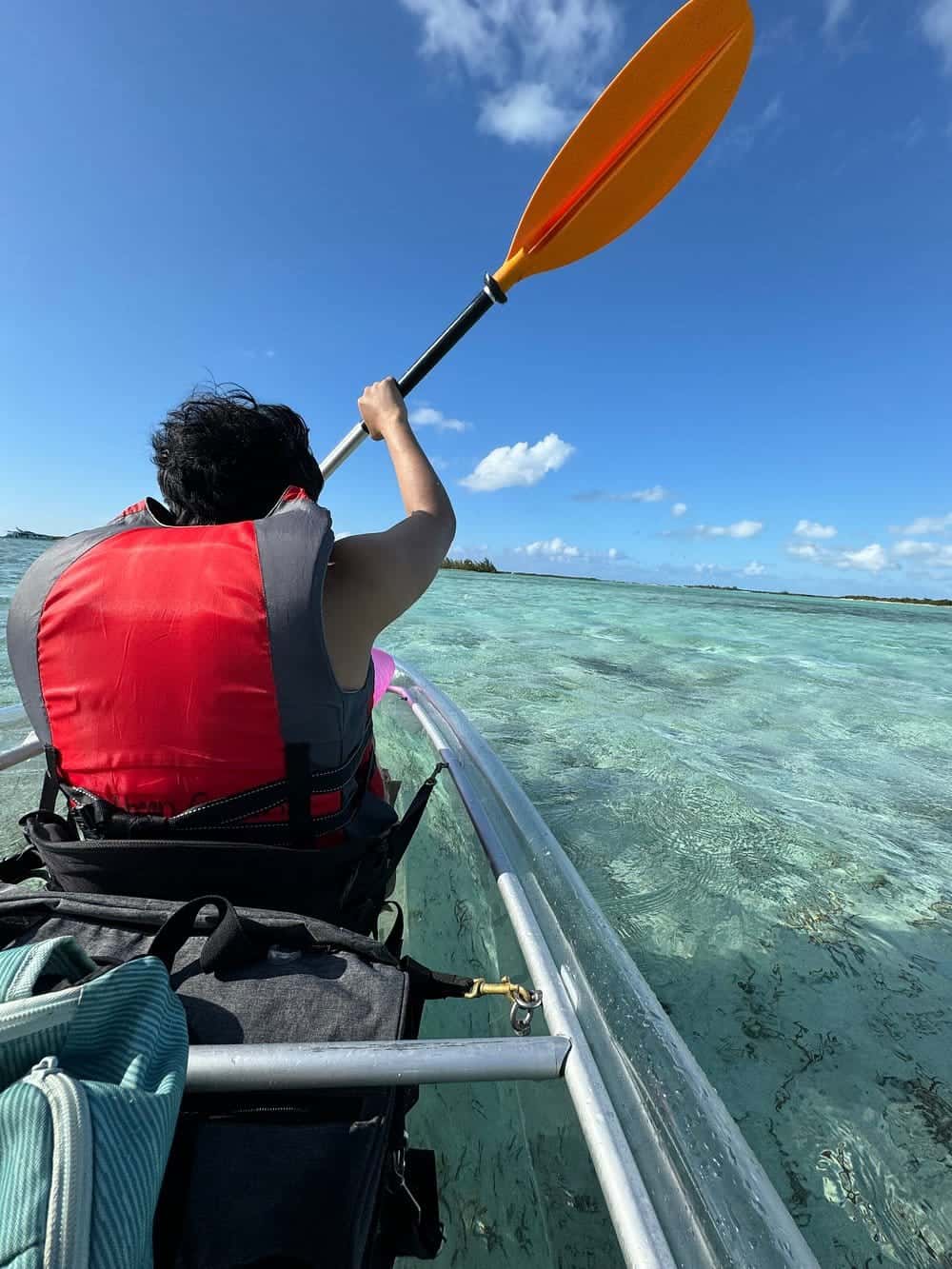 3HR Mangrove & Iguana Island Clear Kayak Tour — photo 2