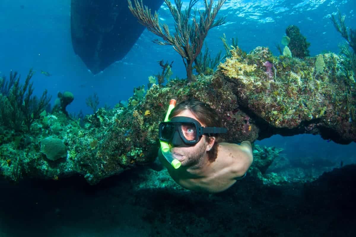 3HR Snorkel, Shipwreck & Iguana Tour — photo 2